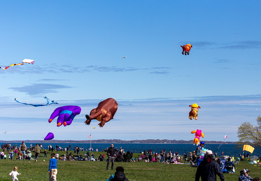 Harkness Kites